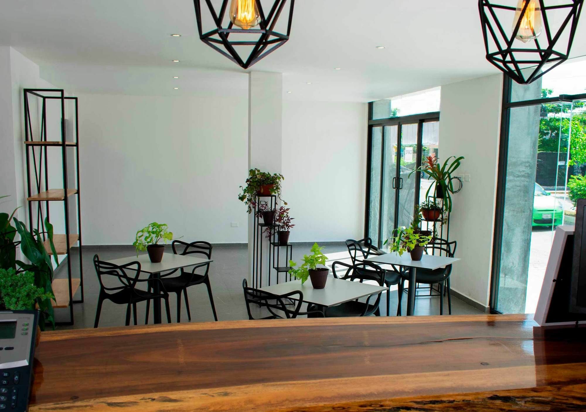 We Express Hotel Playa Del Carmen (Adults Only) מראה חיצוני תמונה